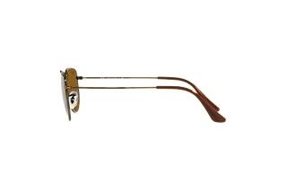 Seitenansicht Ray-Ban ELON (RB3958 - 922833)