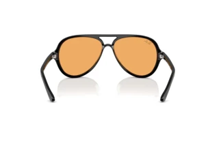 Rückansicht Ray-Ban CATS 5000 (RB4125 - 601/33)