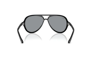 Rückansicht Ray-Ban CATS 5000 (RB4125 - 601/R5)