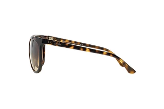 Seitenansicht Ray-Ban CATS 1000 (RB4126 - 710/51)