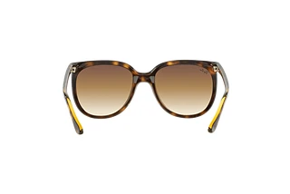 Rückansicht Ray-Ban CATS 1000 (RB4126 - 710/51)