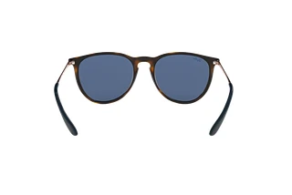 Rückansicht Ray-Ban ERIKA (RB4171 - 639080)