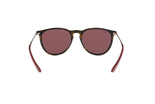 Rückansicht Ray-Ban ERIKA (RB4171 - 639175)