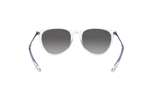 Rückansicht Ray-Ban ERIKA (RB4171 - 651611)