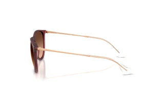 Seitenansicht Ray-Ban ERIKA (RB4171 - 6815A5)