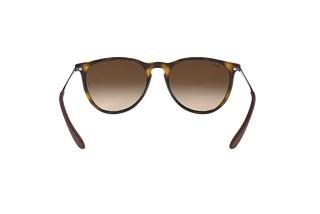 Rückansicht Ray-Ban ERIKA (RB4171 - 865/13)