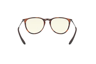 Rückansicht Ray-Ban ERIKA (RB4171 - 865/SB)