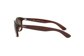 Seitenansicht Ray-Ban ANDY (RB4202 - 607313)