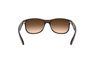 Rückansicht Ray-Ban ANDY (RB4202 - 607313)
