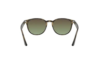 Rückansicht Ray-Ban RB4259 (731/E8)