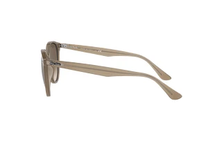 Seitenansicht Ray-Ban RB4305 (616613)