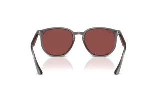 Rückansicht Ray-Ban RB4306 (687375)