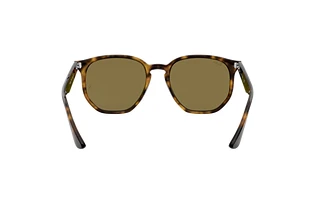 Rückansicht Ray-Ban RB4306 (710/73)