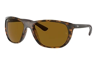 Vorderansicht Ray-Ban RB4307 (710/83)