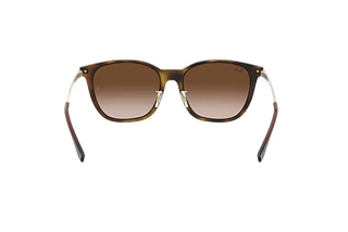 Rückansicht Ray-Ban RB4333D (710/13)