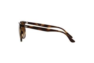 Seitenansicht Ray-Ban RB4378 (710/13)
