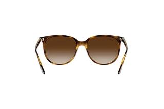 Rückansicht Ray-Ban RB4378 (710/13)