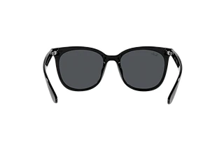 Rückansicht Ray-Ban RB4379D (601/87)