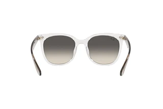 Rückansicht Ray-Ban RB4379D (659811)