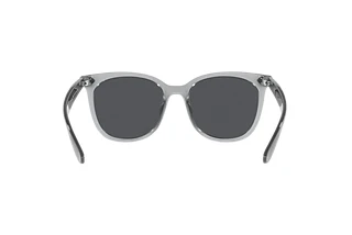 Rückansicht Ray-Ban RB4379D (659987)