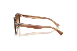 Seitenansicht Ray-Ban ERIK (RB4398 - 140351)