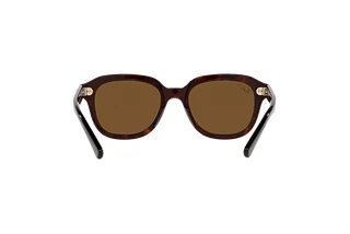 Rückansicht Ray-Ban ERIK (RB4398 - 902/57)