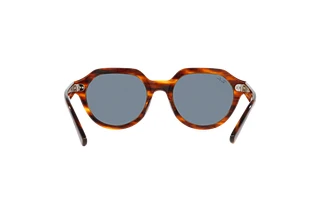 Rückansicht Ray-Ban GINA (RB4399 - 954/62)