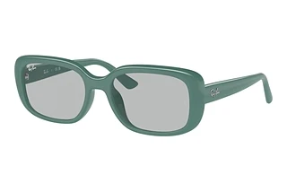 Ray-Ban RB 4421D 676287