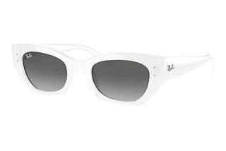 Ray-Ban RB4430 675911 GreyWhite Snow