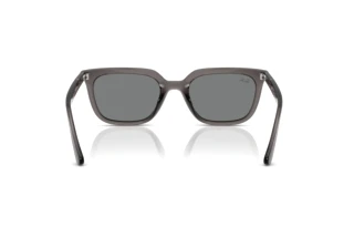 Rückansicht Ray-Ban RB4439D (667587)