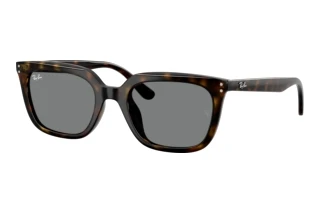 Vorderansicht Ray-Ban RB4439D (710/87)