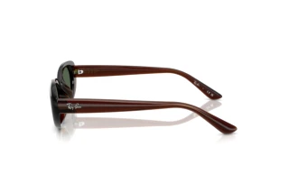 Seitenansicht Ray-Ban RB4441D (714/71)