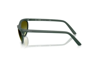Seitenansicht Ray-Ban RB4453 (6016E8)