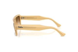 Seitenansicht Ray-Ban FLACKO (RB4454 - 680651)