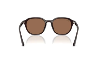 Rückansicht Ray-Ban RB4459D (623173)