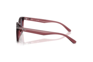 Seitenansicht Ray-Ban RB4461D (659373)