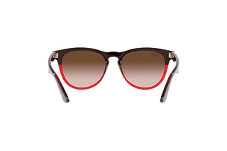 Rückansicht Ray-Ban IRIS (RB4471 - 663113)