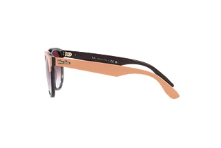 Seitenansicht Ray-Ban IRIS (RB4471 - 66338H)