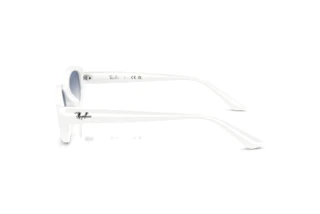 Seitenansicht Ray-Ban RB4473D (677219)