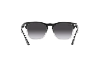 Rückansicht Ray-Ban STEVE (RB4487 - 66308G)