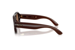 Seitenansicht Ray-Ban RB4925 (689673)