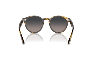 Rückansicht Ray-Ban LARRY (RB7680S - 1332GL)