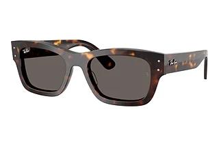 Ray-Ban RB7683S 902/B1 Dark GreyHavana