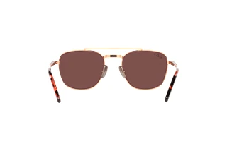 Rückansicht Ray-Ban FRANK II TITANIUM (RB8258 - 3140AF)