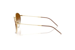 Seitenansicht Ray-Ban ROUND REVERSE (RBR0103S - 001/CB)