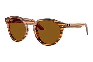Ray-Ban RBR 0505S 679183