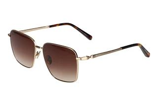 Scotch and Soda 506017 402 Braun VerlaufGold