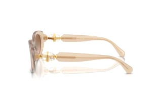 Seitenansicht Swarovski SK6002 (103413)