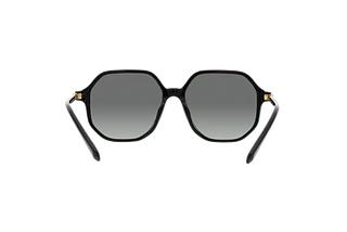 Rückansicht Swarovski SK6003 (100111)