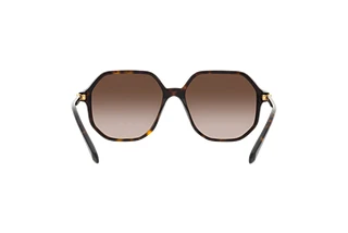 Rückansicht Swarovski SK6003 (100213)